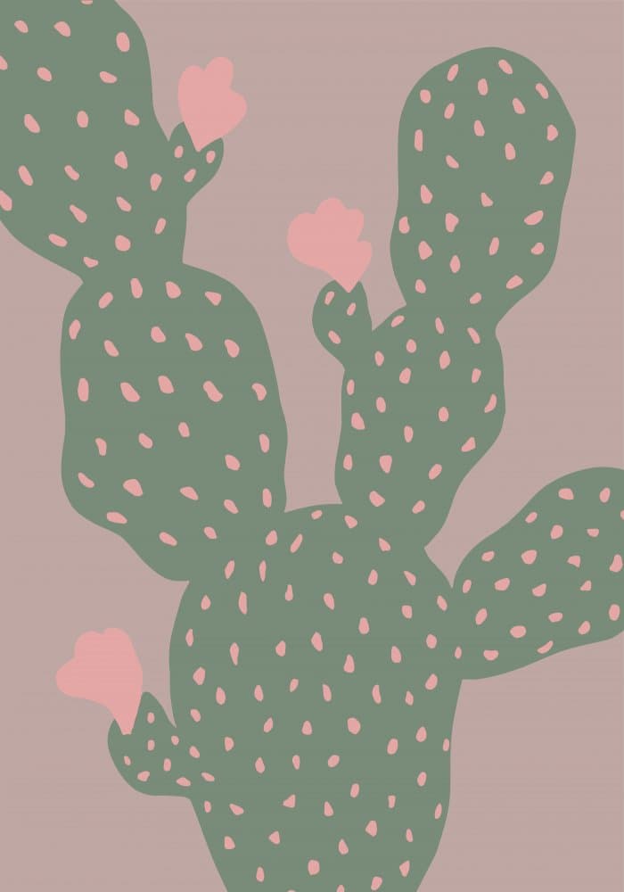 Pink Cactus Blooms by Pictufy Studio — canvas wall art