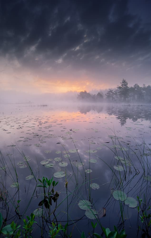 Misty Lake Sunrise by Benny Pettersson — canvas wall art