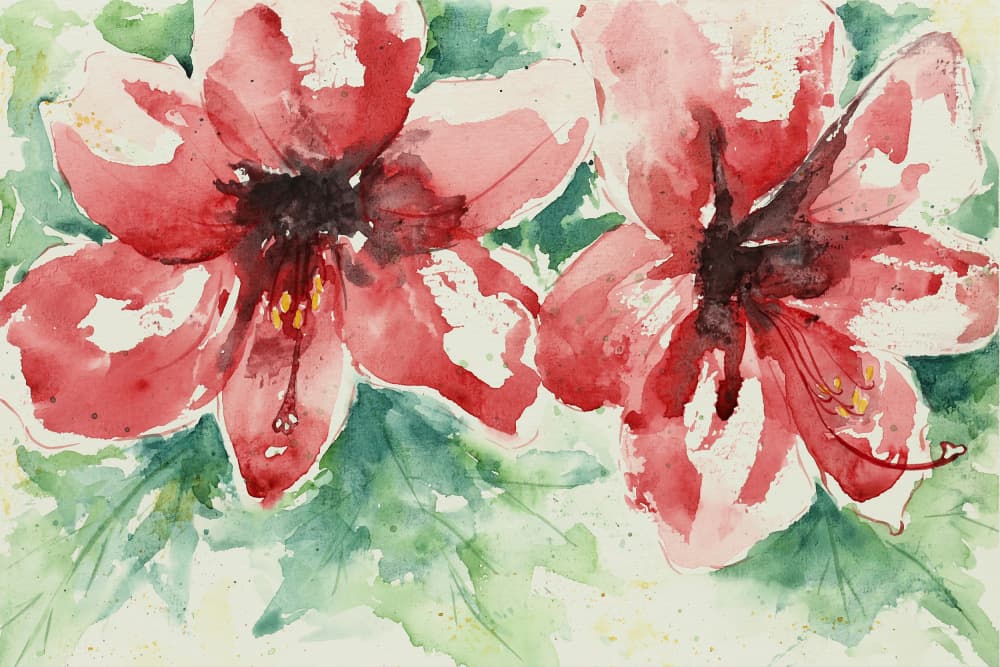 Vibrant Red Flowers by Natalie Bruns — canvas wall art