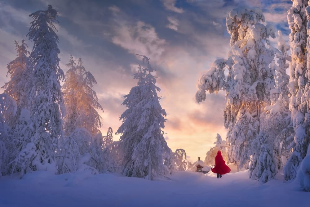 Red Cloak Winter Forest by Liguang Huang — canvas wall art