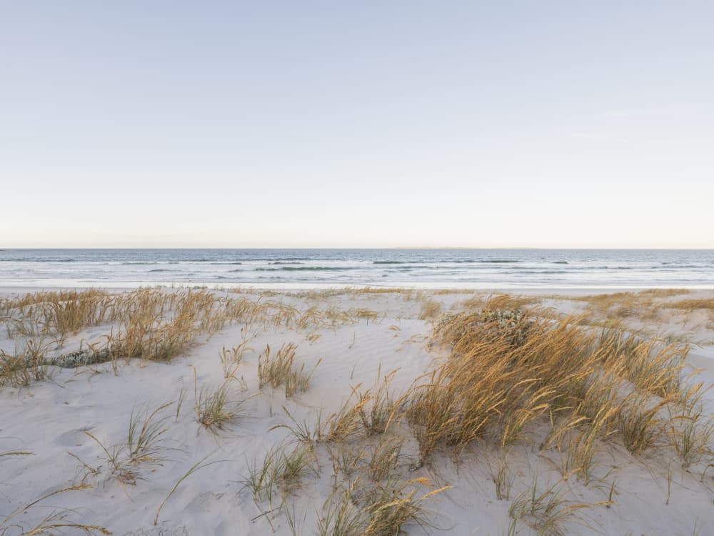 Serene Coastal Sands by Ryno Botha — canvas wall art