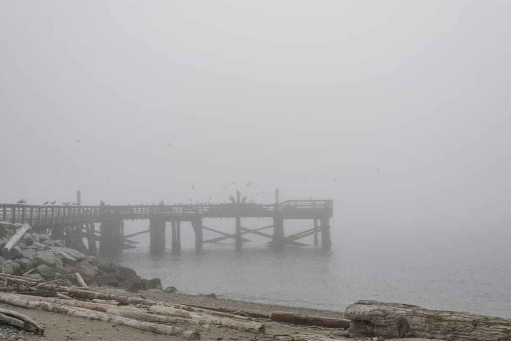 Serene Foggy Pier by Lynann Colligan — canvas wall art