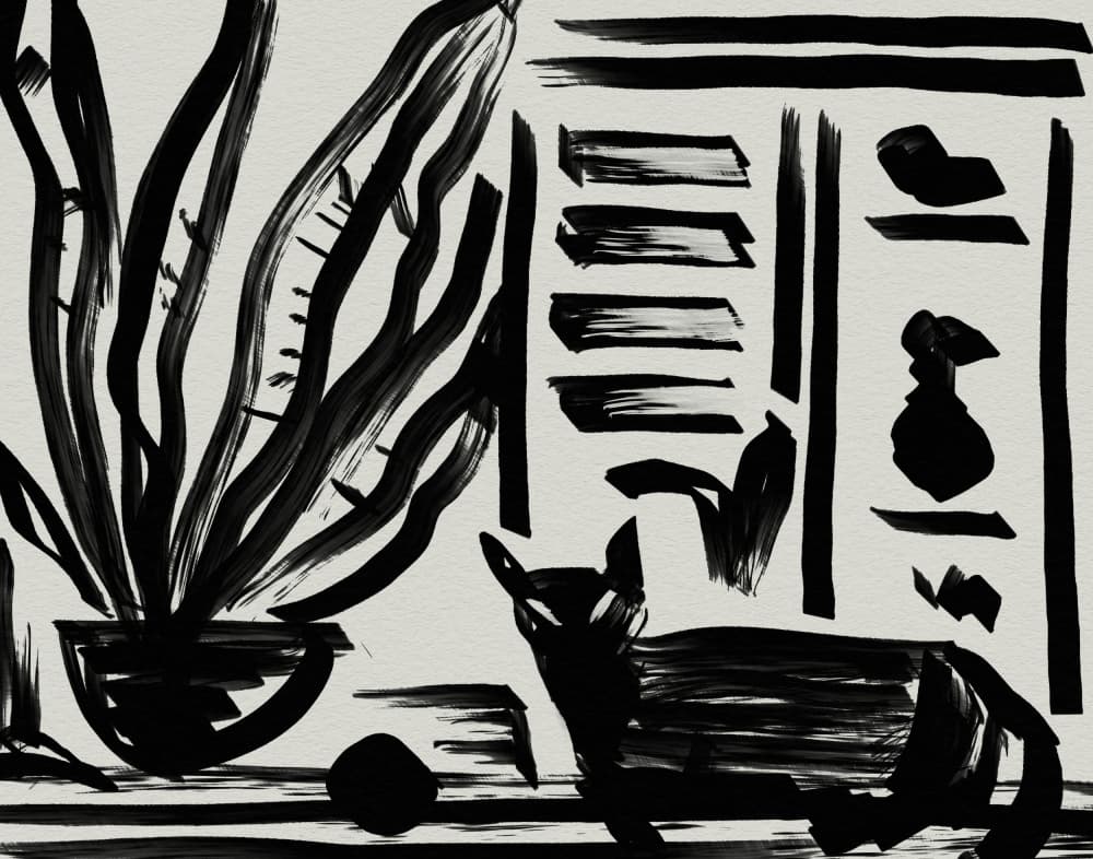 Abstract Black Cat Plant by Josie George — canvas wall art