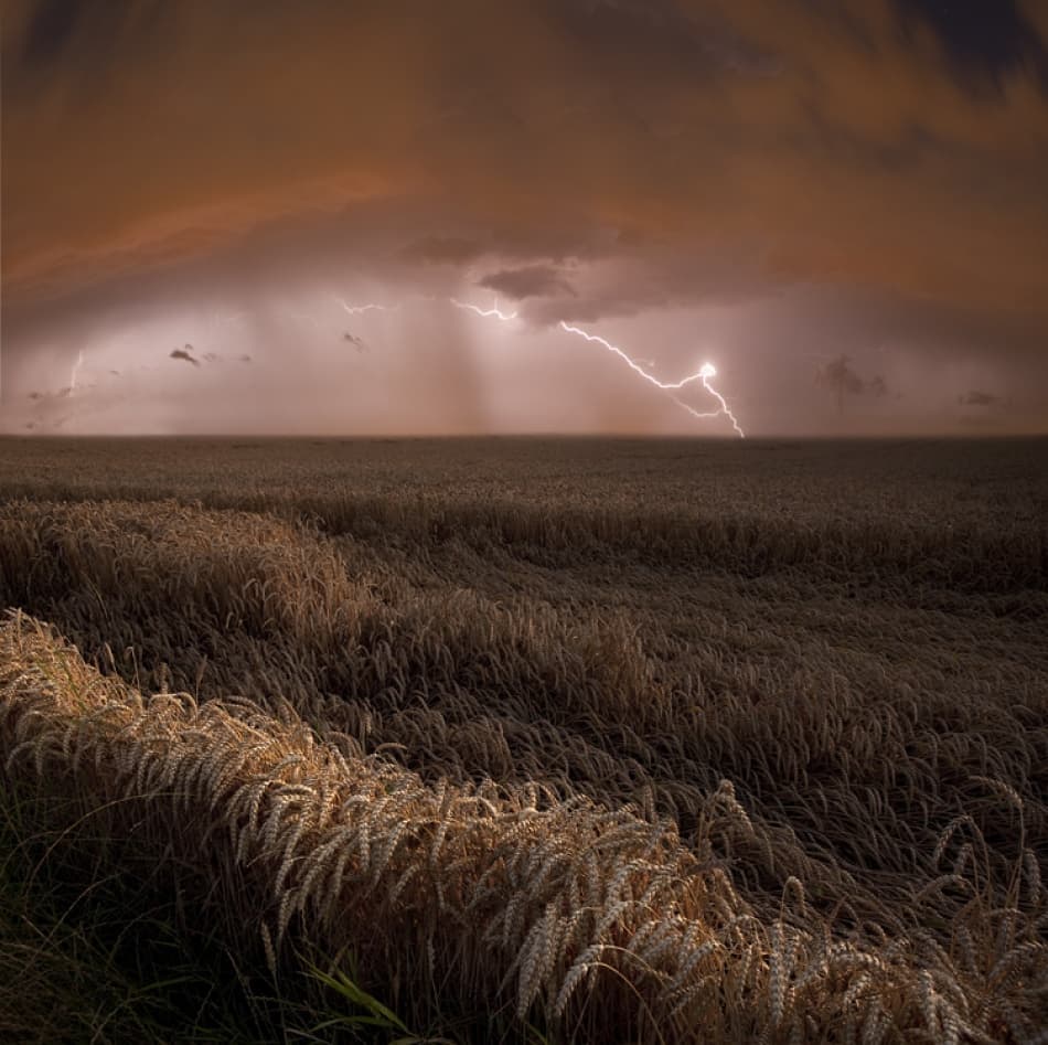 Golden Wheat Thunderstorm by Nicolas Schumacher — canvas wall art