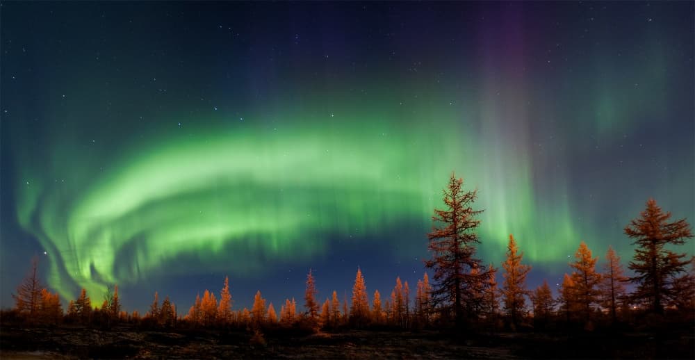 Northern Lights Forest Glow by Andrey Snegirev — canvas wall art