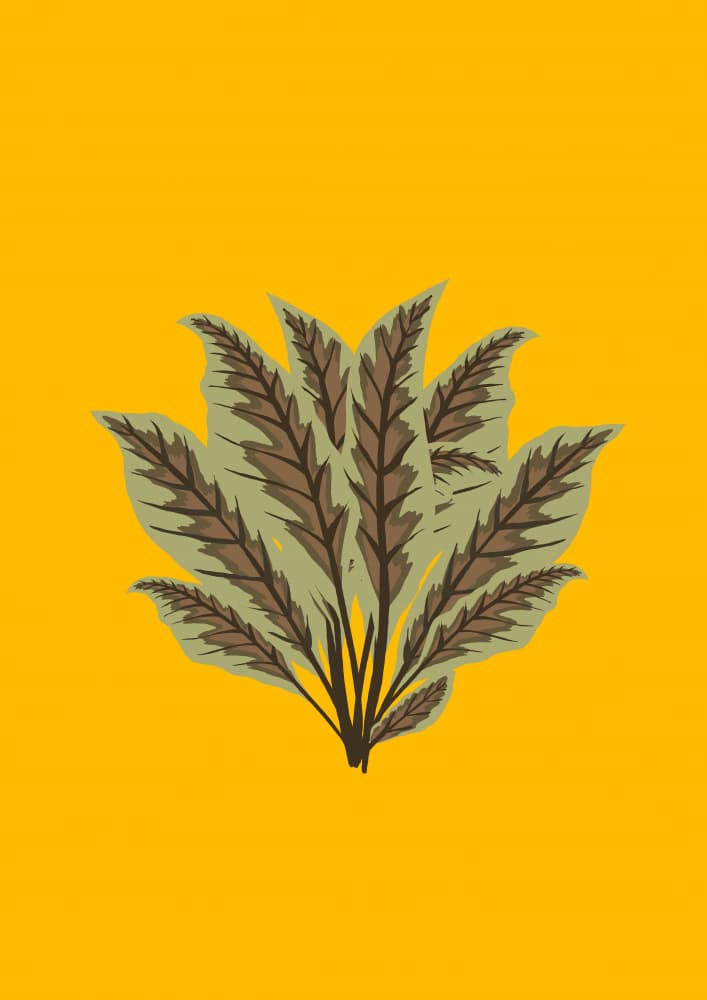 Tropical Leaf Pattern by Nicholas — canvas wall art