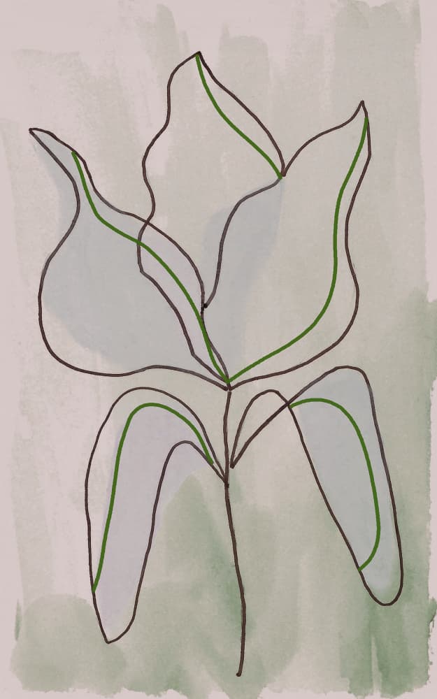 Minimalist Botanical Outline