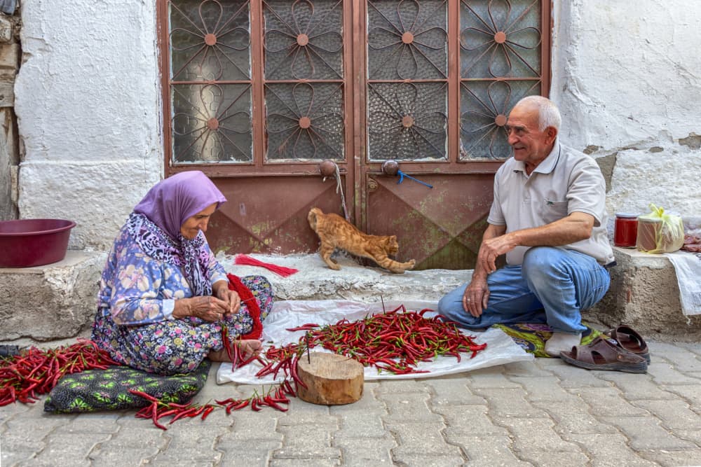Couple Preparing Peppers by Zühdü Bilgin — canvas wall art