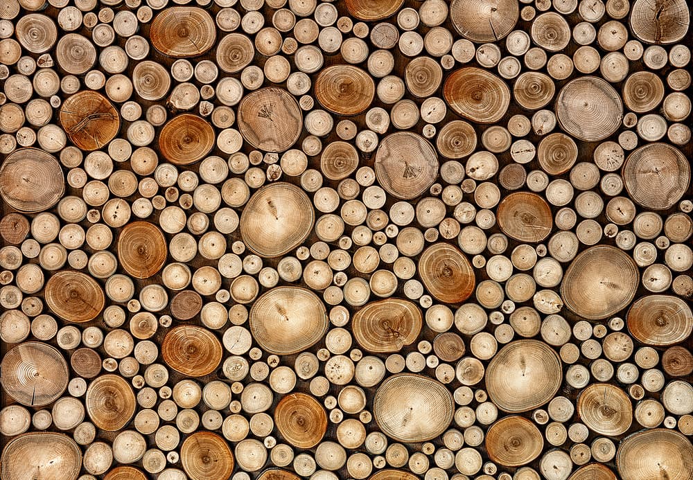 Natural Wood Slices by Aida Ianeva — canvas wall art