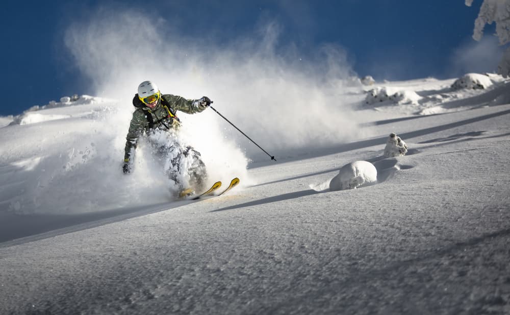 Skiing Fresh Powder by Sandi Bertoncelj — canvas wall art