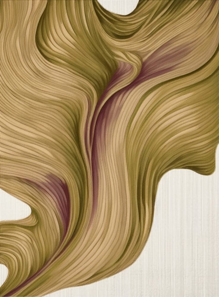 Fluid Organic Curves by Alma — canvas wall art