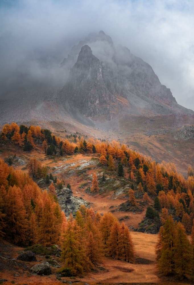 Misty Autumn Mountains by Dawn X W — canvas wall art