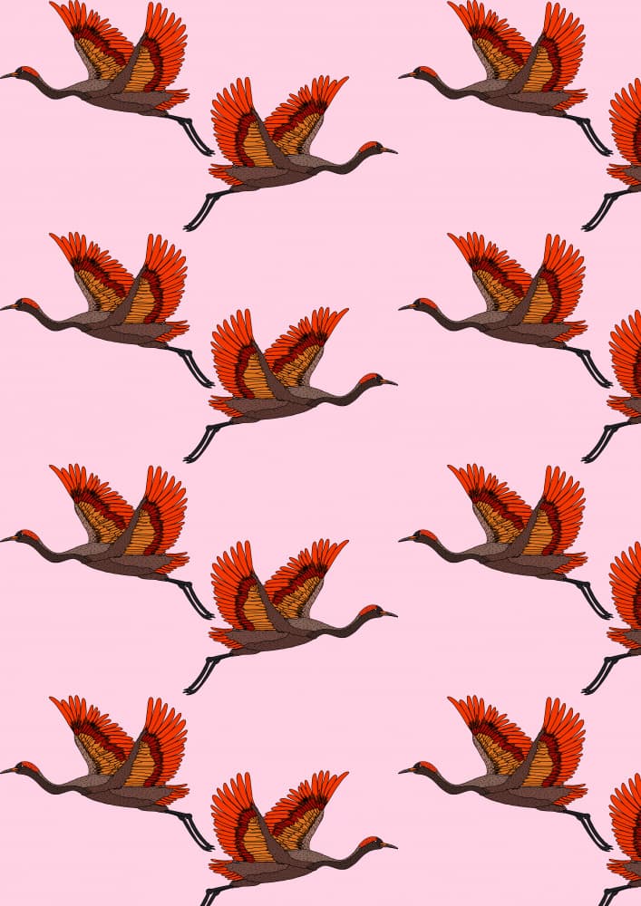 Graceful Pink Cranes by Nicholas — canvas wall art