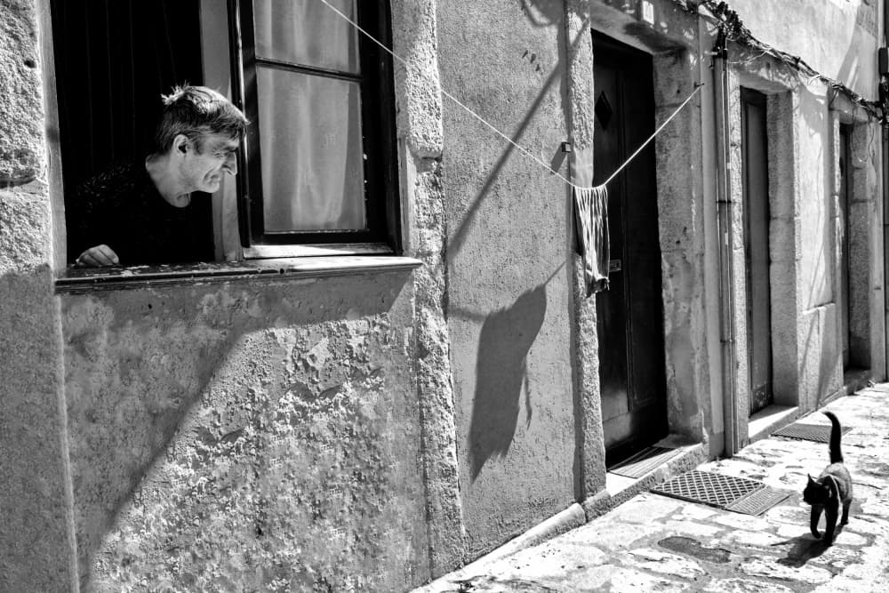 Man Watching Street Cat by Carlos Costa — canvas wall art
