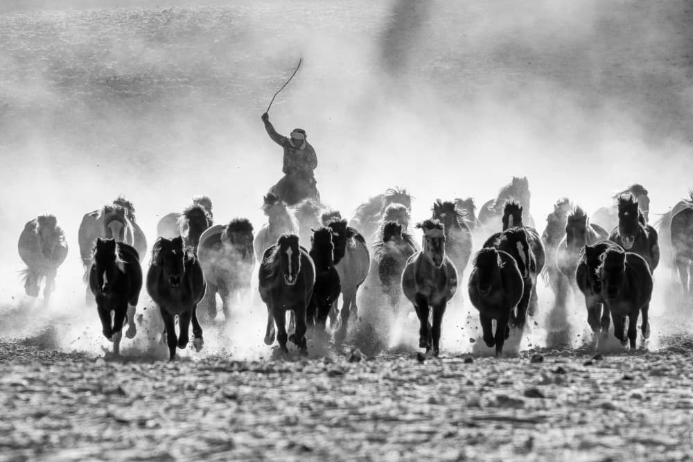 Dusty Horse Stampede by Songlin Xu — canvas wall art