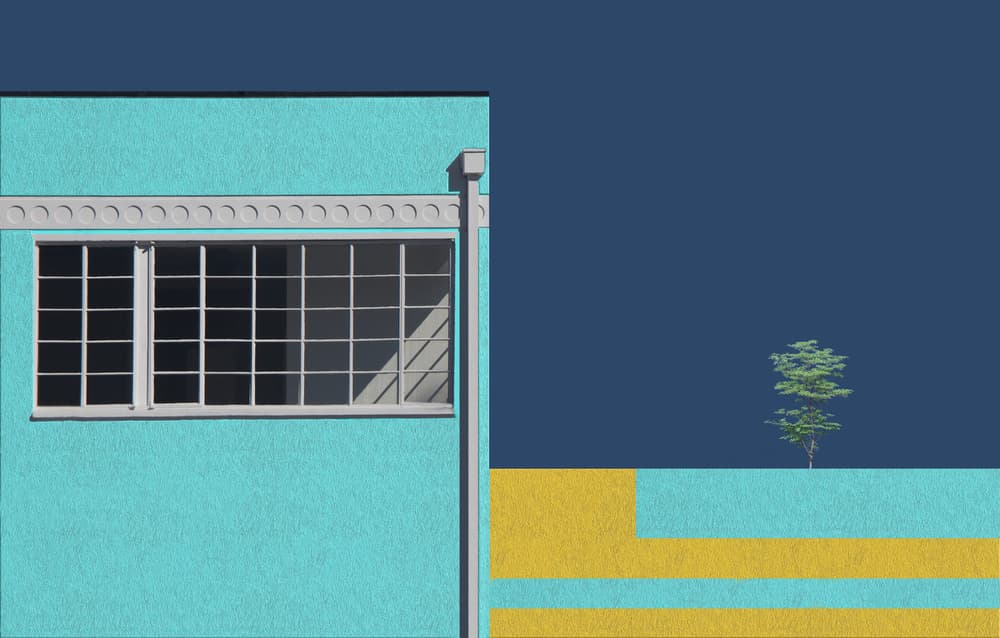 Turquoise Facade and Tree by Roxana Labagnara — canvas wall art
