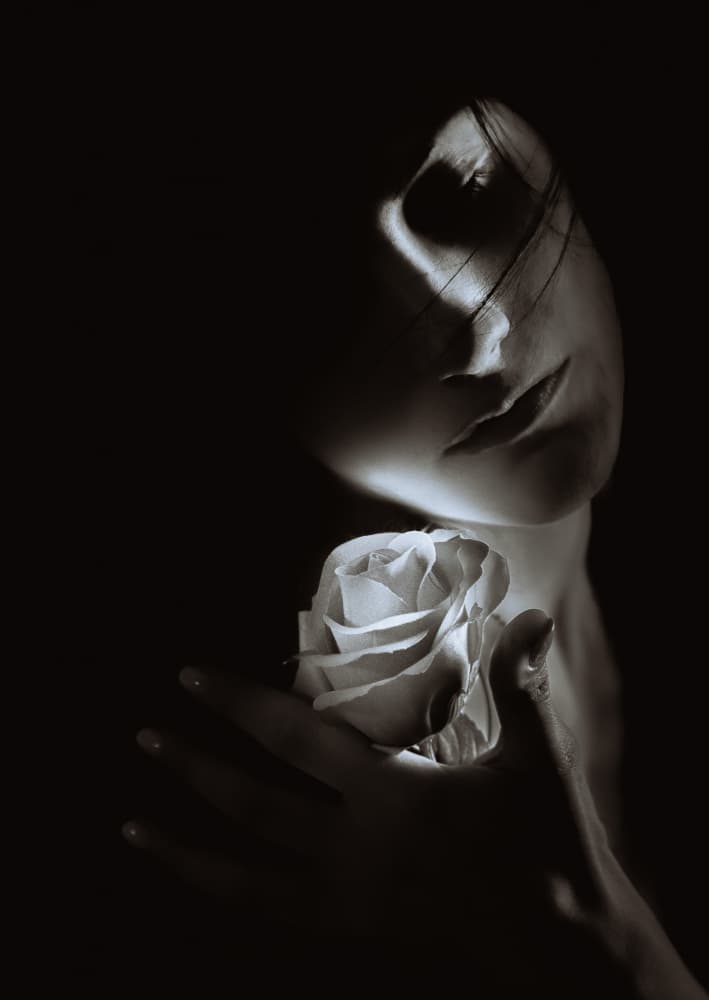 Elegant Woman With Rose by Toni Fidanza — canvas wall art