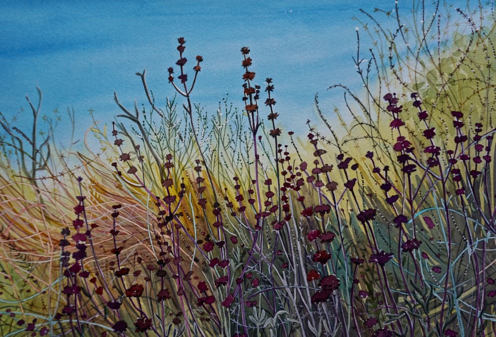 Vibrant Wild Meadow by Luisa Millicent — canvas wall art