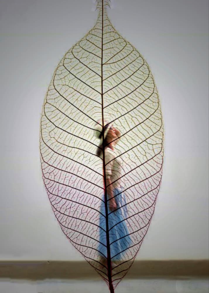 Ethereal Leaf Woman by Weiwei — canvas wall art