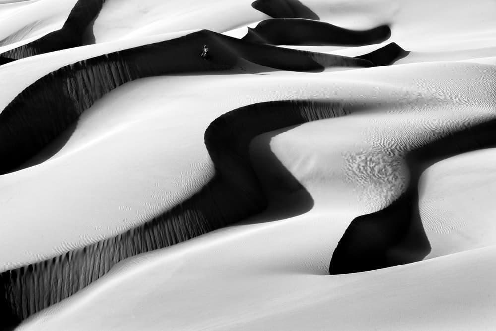 Monochrome Desert Patterns by Mohammadreza Momeni — canvas wall art