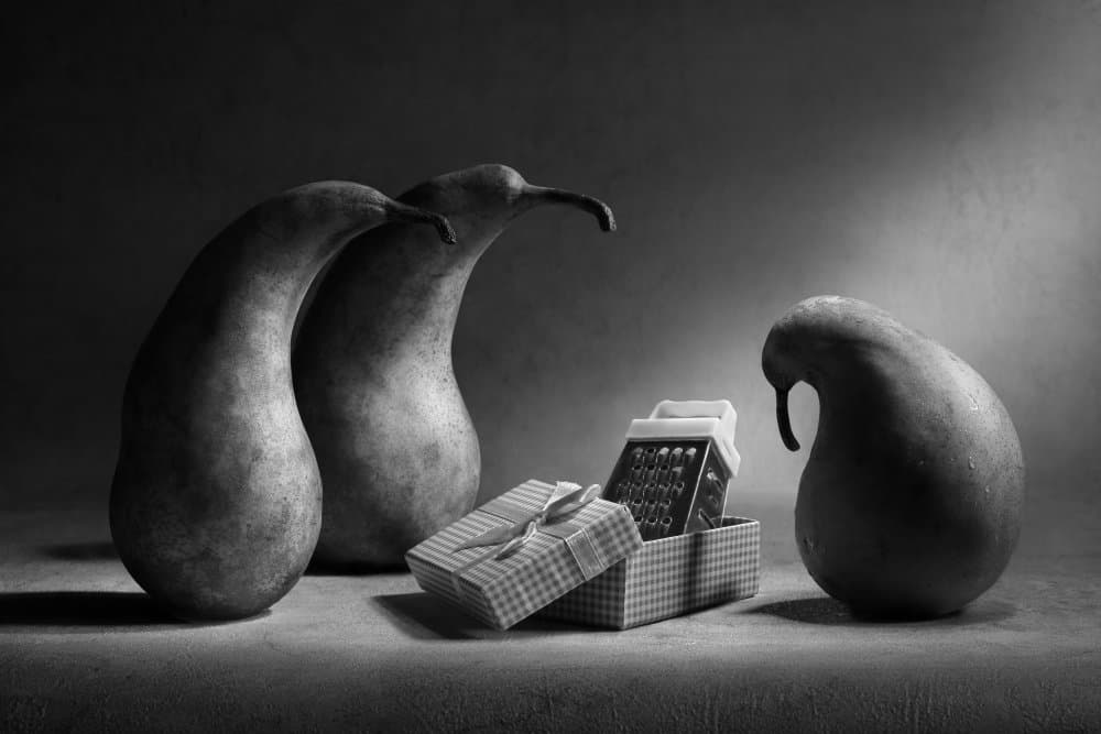 Curious Gourds and Gifts by Victoria  Glinka — canvas wall art