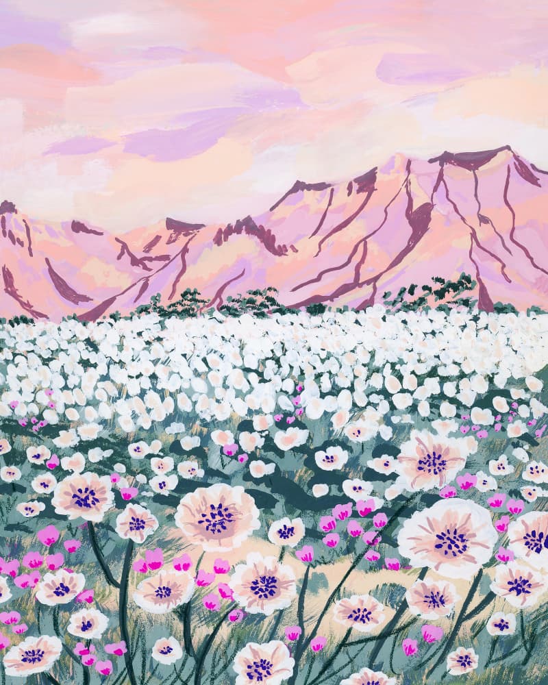 Pink Mountain Bloom by Sarah Gesek — canvas wall art