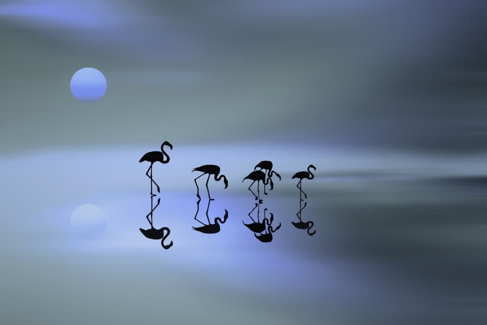 Blue Moon Flamingos by Natalia — canvas wall art