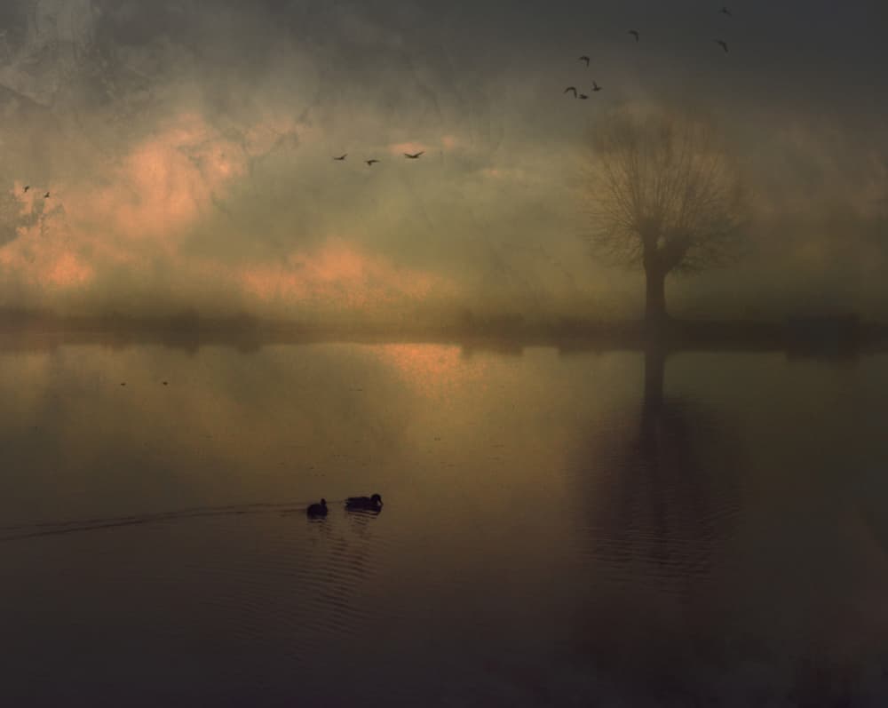 Golden Misty Lake Dawn by Robert Fabrowski — canvas wall art