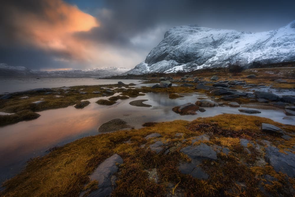 Golden Light Mountain Coast by Adam Pachula — canvas wall art