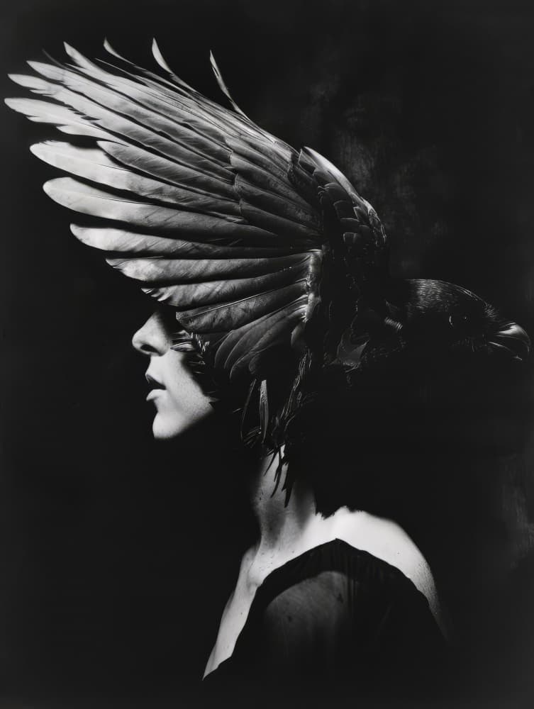 Raven Winged Profile by Bilge Paksoylu — canvas wall art