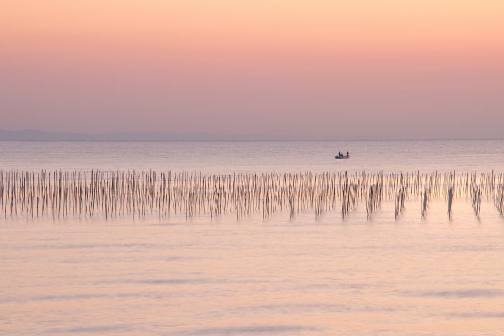 Pastel Ocean Farm by Haruyo Sakamoto — canvas wall art