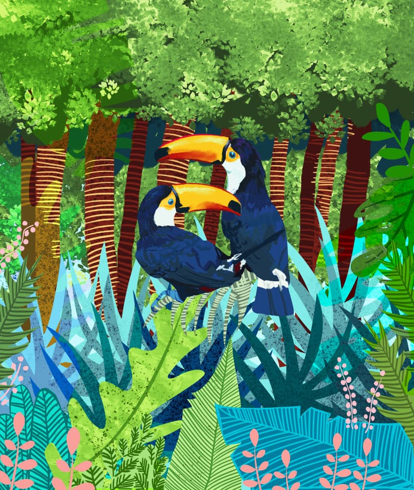 Jungle Toucan Pair by Uma Gokhale — canvas wall art