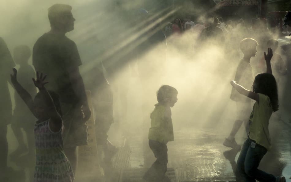 Misty Golden Play by David Scarbrough — canvas wall art