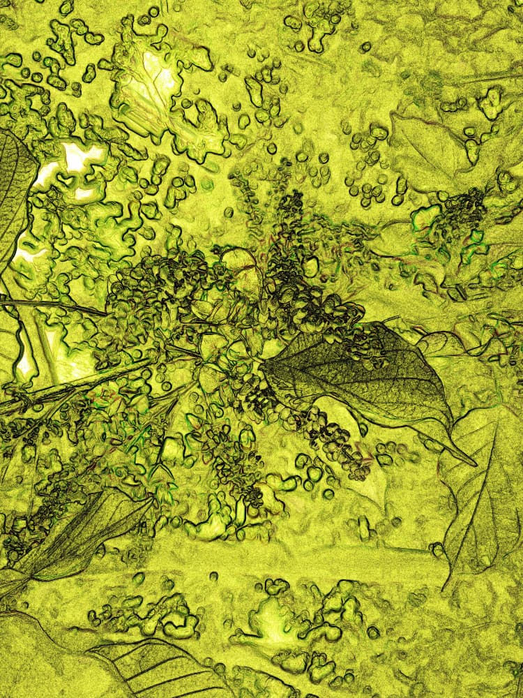 Vibrant Green Botanicals by Santhosh ch — canvas wall art