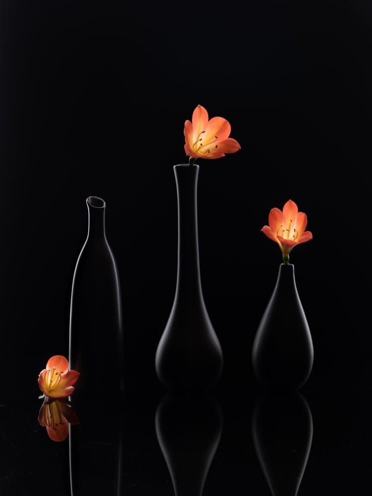 Clivia by Qing Li — canvas wall art