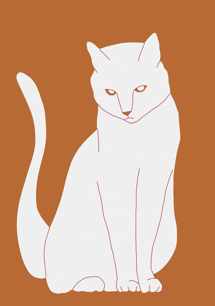 Graceful White Feline by Sharyn Bursic — canvas wall art