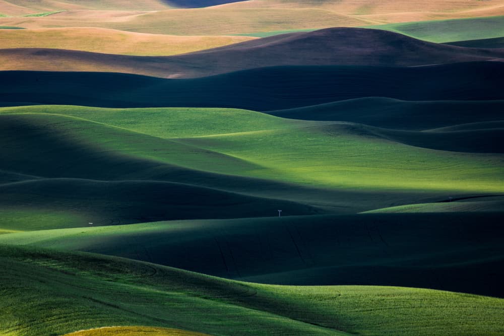 Waves of Green Hills by Tony Xu — canvas wall art