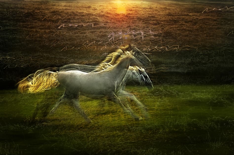 Galloping Golden Horses by Milan Malovrh — canvas wall art