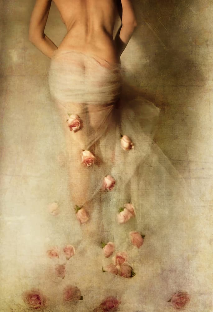 My rose garden ll by miriana — canvas wall art
