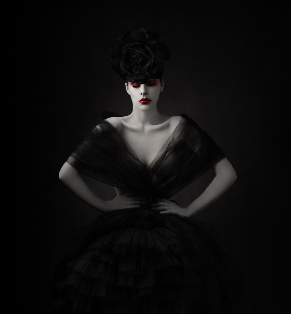 Elegant Dark Rose by Alfredo Sanchez — canvas wall art