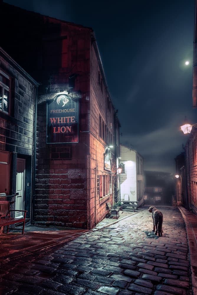 Lonely Dog Night Street by Francis Wilson — canvas wall art