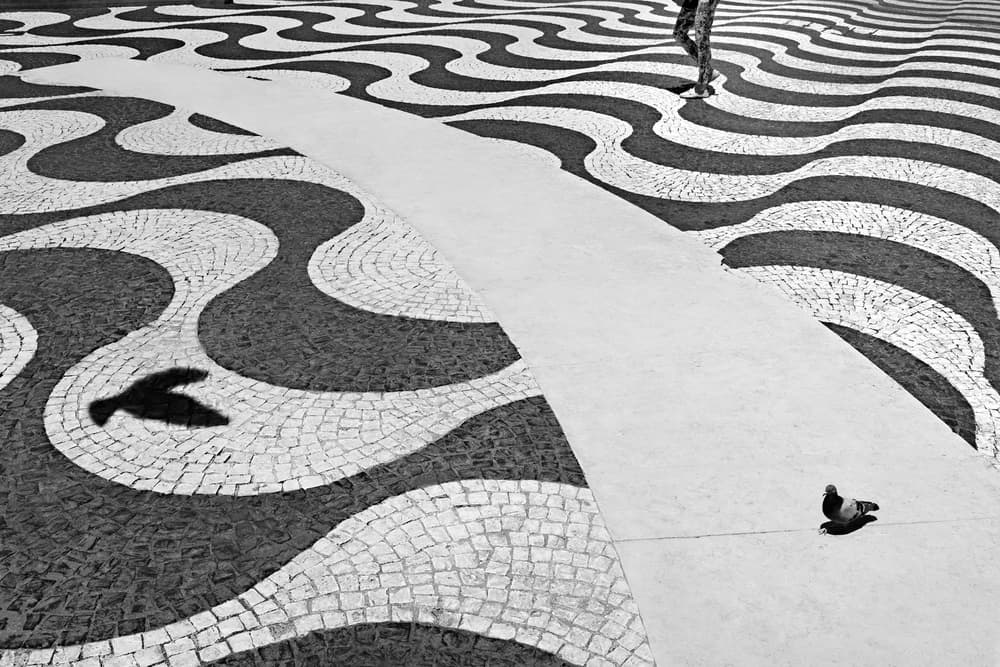Black White Urban Waves by Paulo Abrantes — canvas wall art