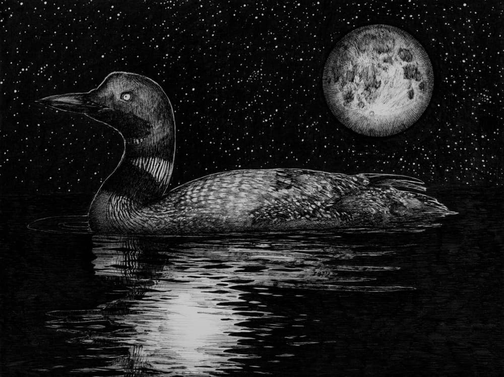 Moonlit Loon Lake by EC Mazur — canvas wall art