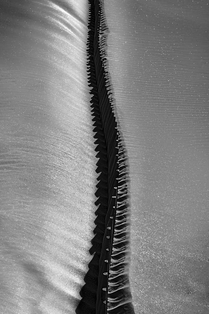 Dynamic Water Divide by Paulo Abrantes — canvas wall art