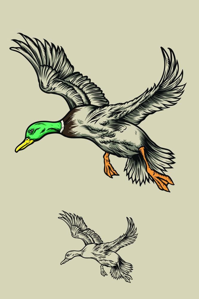 Flying Mallard Ducks by jay stanley — canvas wall art