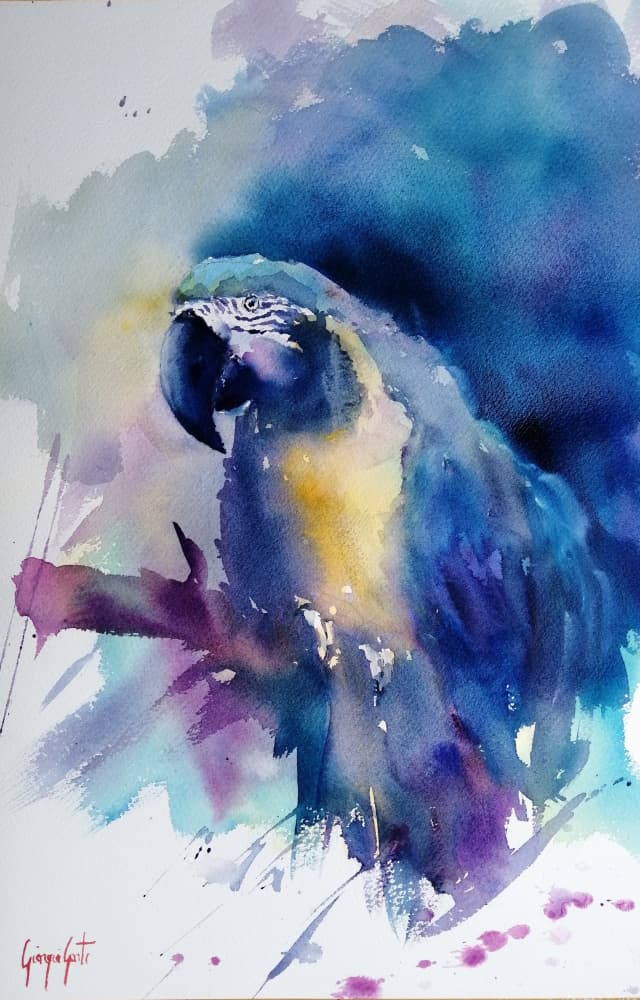 Vibrant Blue Macaw by Giorgio Gosti — canvas wall art