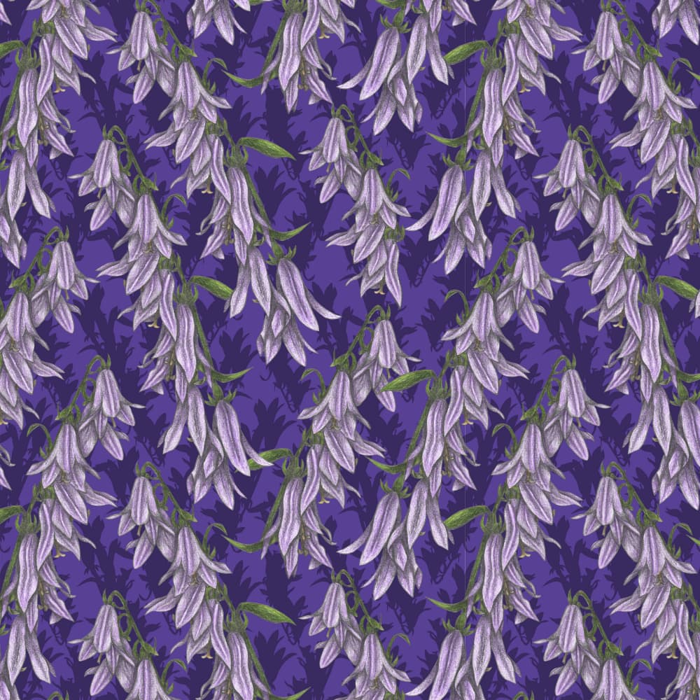 Lavender Bellflower Cascade by Cecilia Battaini — canvas wall art