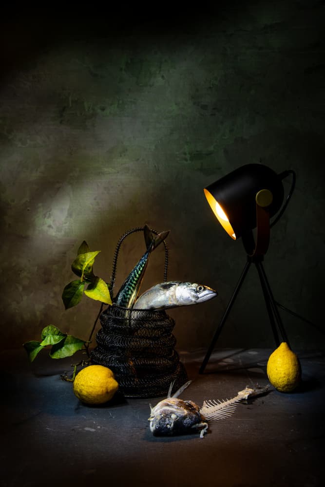 Mackerel and Lemon Light by Felice Angelino — canvas wall art