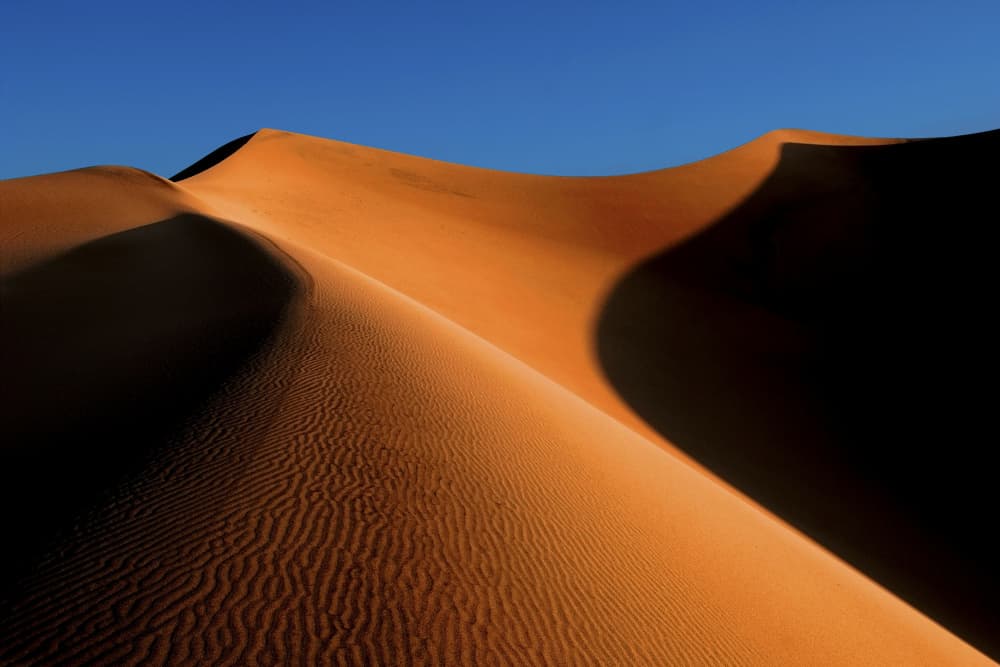 Golden Desert Dunes by Jure Kravanja — canvas wall art