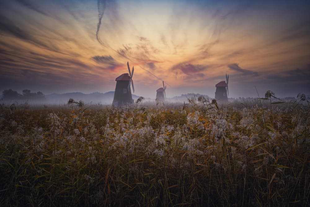 Windmills Golden Hour Mist by Tiger Seo — canvas wall art